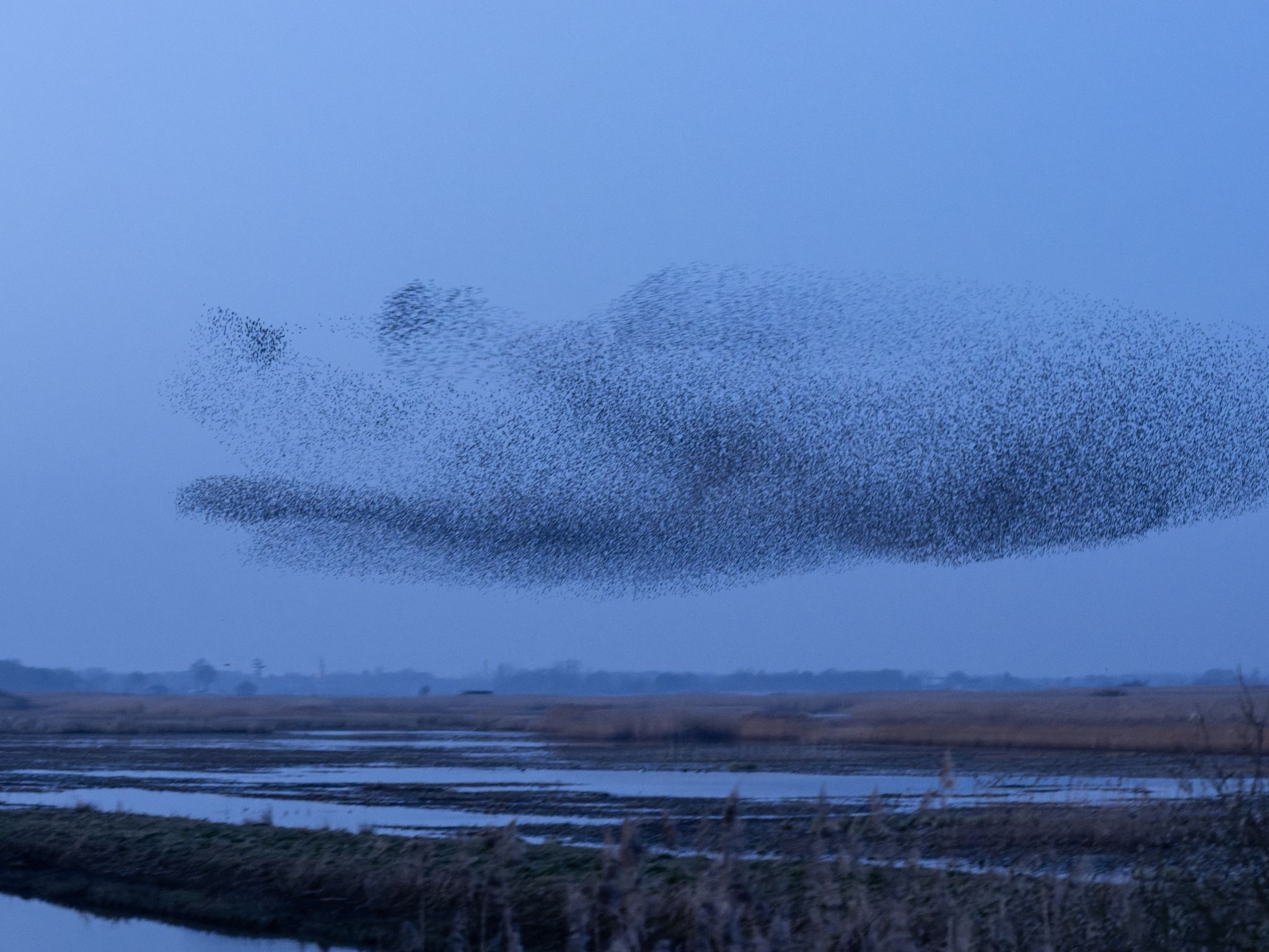 260319 2000 J  2JR0273 DxO DeepPRIME 3